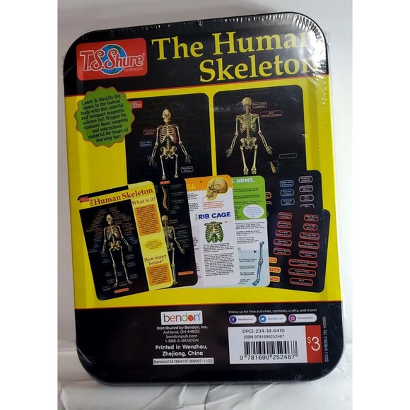 The Human Skeleton Learn & Identify the Bones T.S. Shure in Tin Case New Sealed - Picture 4 of 7